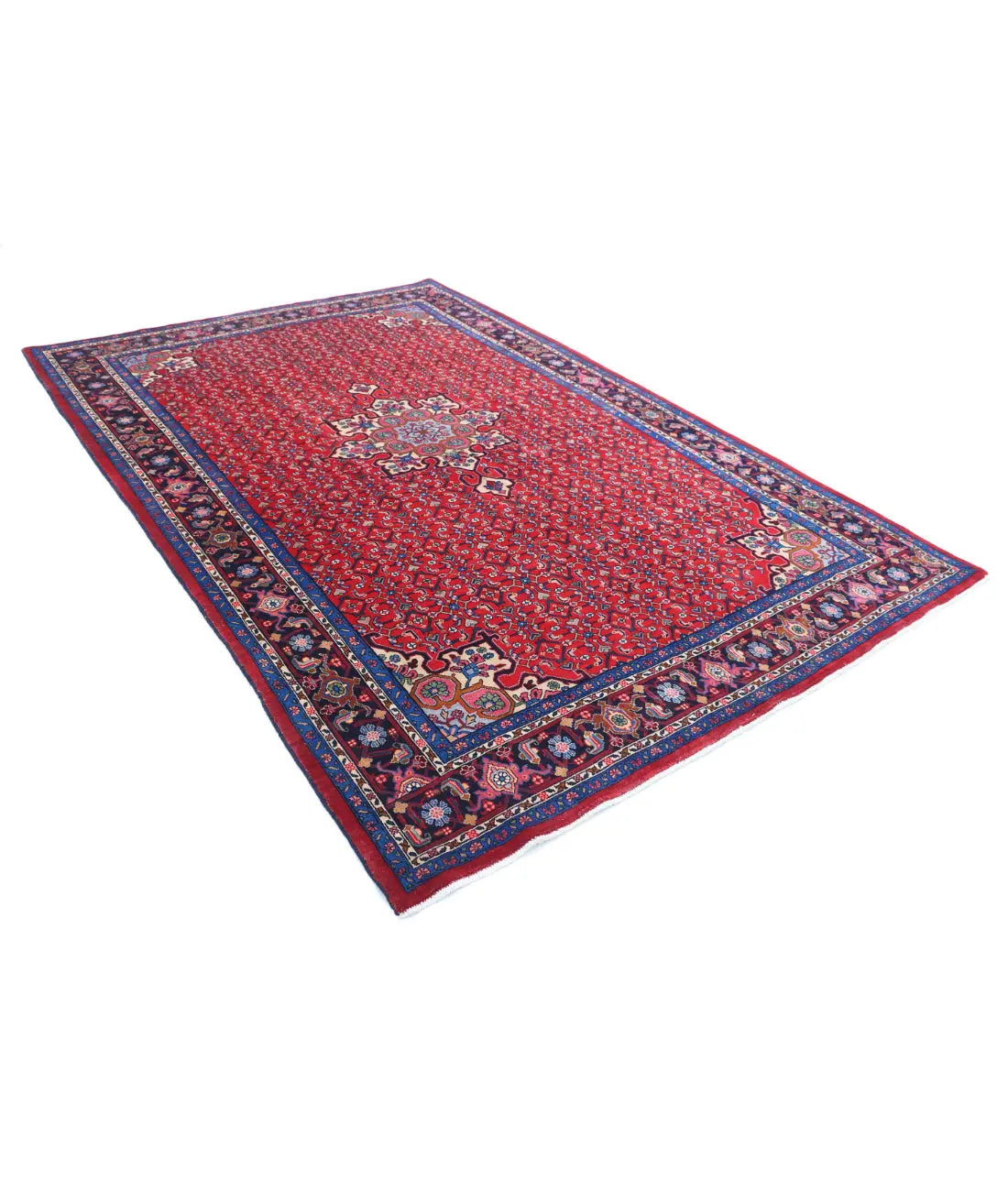 Hand Knotted Oriental Bijar Wool Rug - 6'5'' x 9'9''