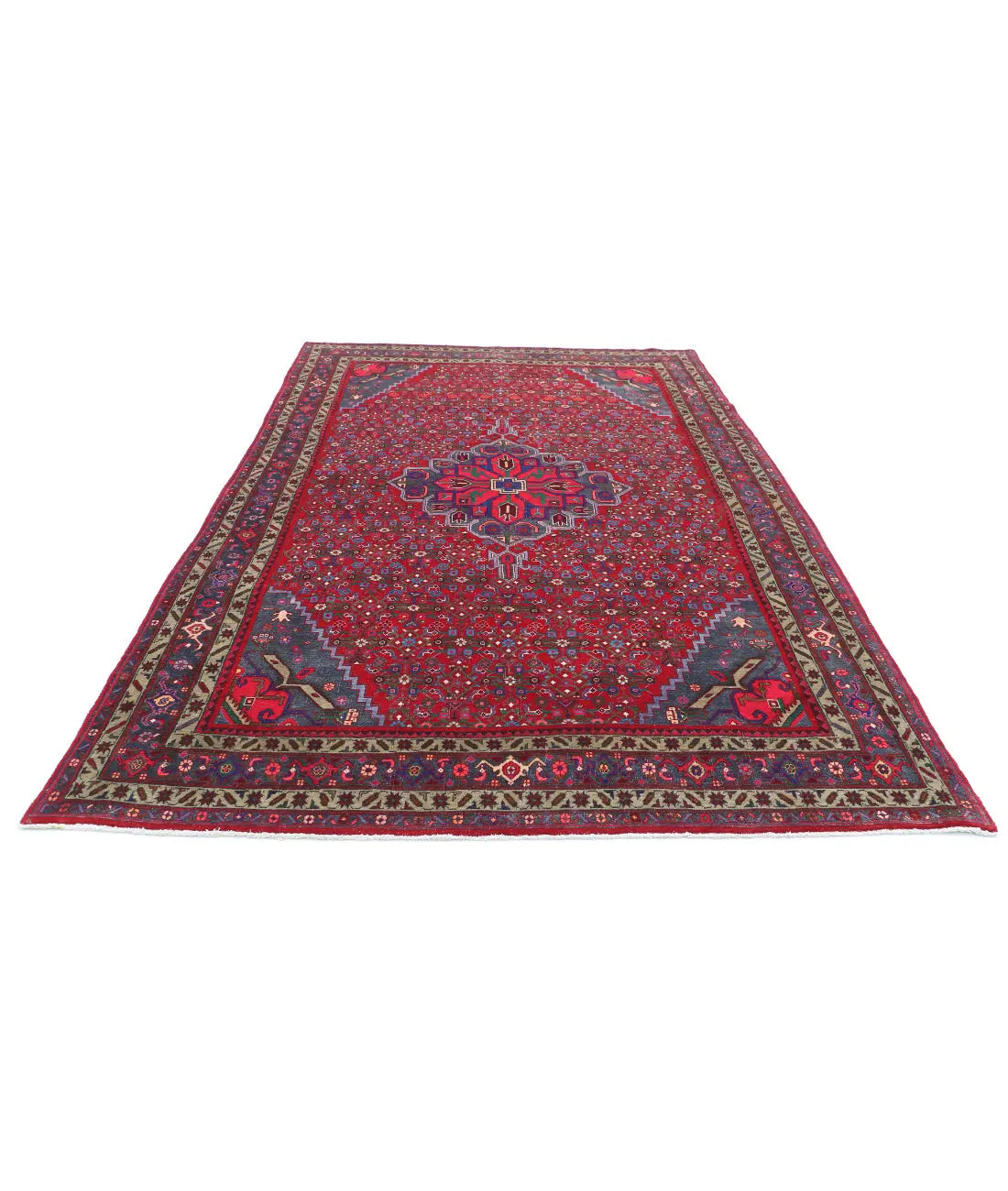 Hand Knotted Oriental Bijar Wool Rug - 6'9'' x 11'6''