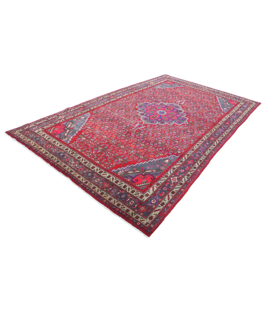 Hand Knotted Oriental Bijar Wool Rug - 6'9'' x 11'6''