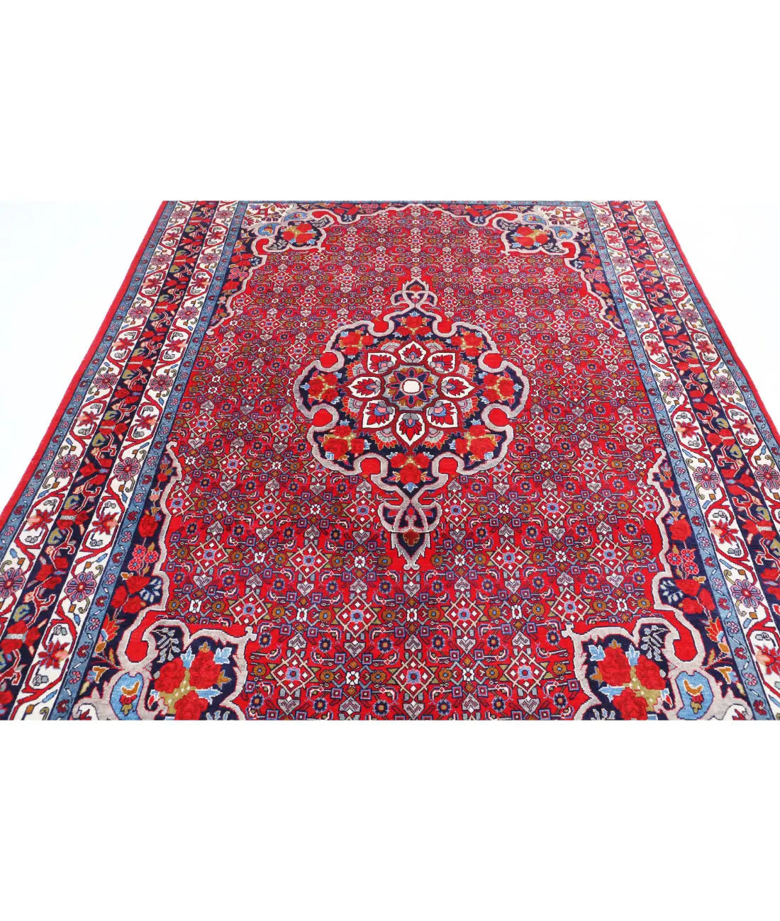 Hand Knotted Oriental Bijar Wool Rug - 6'9'' x 9'8''