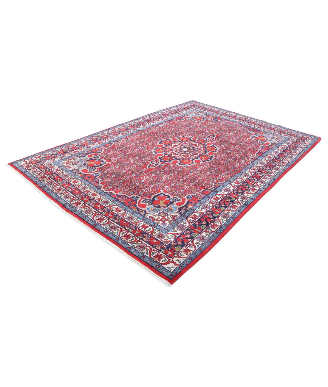 Hand Knotted Oriental Bijar Wool Rug - 6'9'' x 9'8''