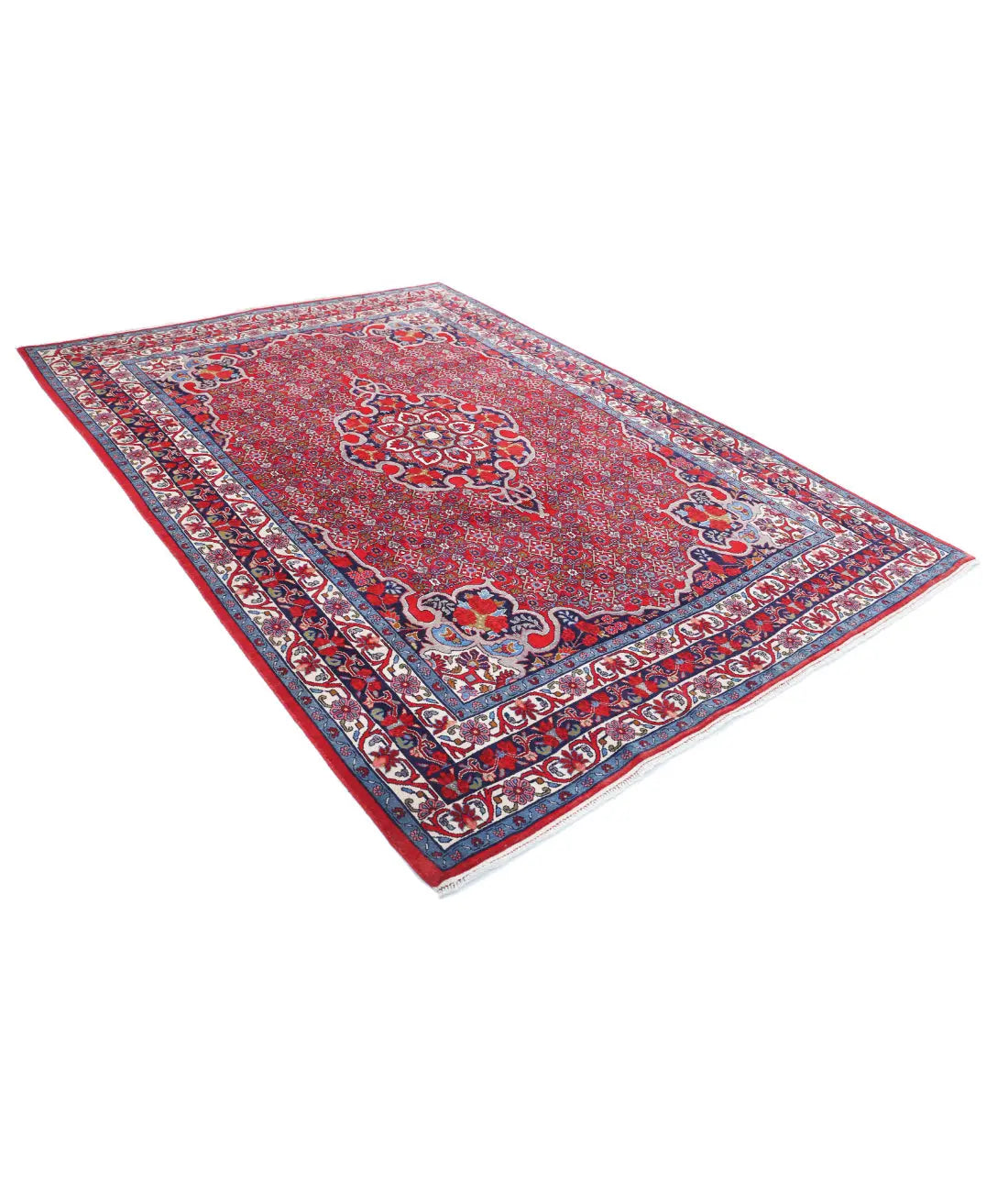 Hand Knotted Oriental Bijar Wool Rug - 6'9'' x 9'8''