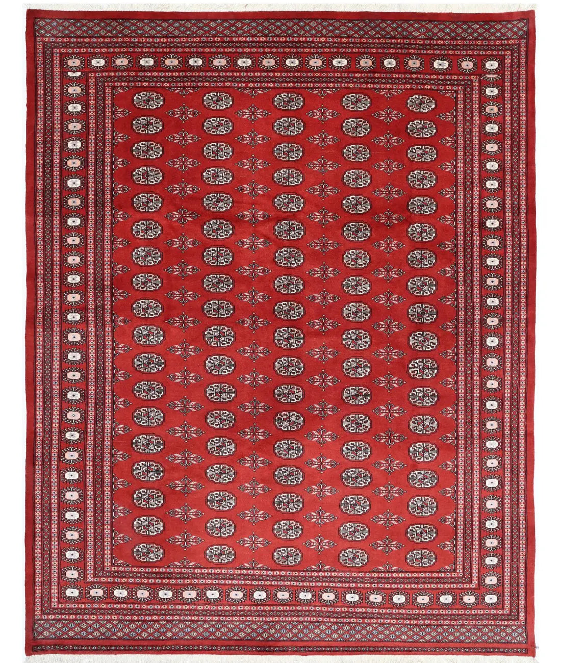 Hand Knotted Tribal Bokhara Wool Rug - 7'11'' x 10'0''