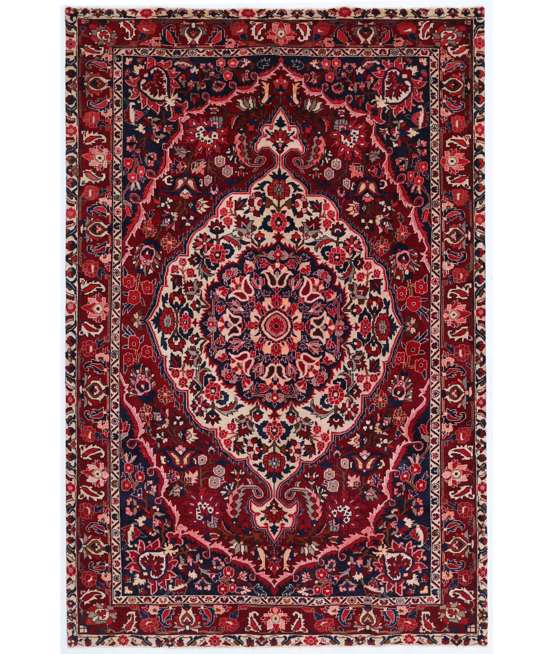 Hand Knotted Bakhtiari Wool Rug  - 6' 9" X 10' 4" 6' 9" X 10' 4" (206 X 315) / Red / Blue