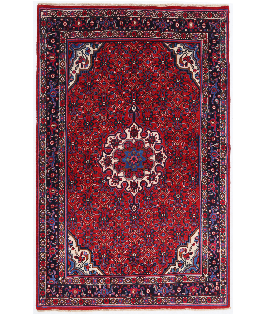 Hand Knotted Bijar Wool Rug  - 3&#39; 11&quot; X 6&#39; 3&quot; 3&#39; 11&quot; X 6&#39; 3&quot; (119 X 191) / Red / Black