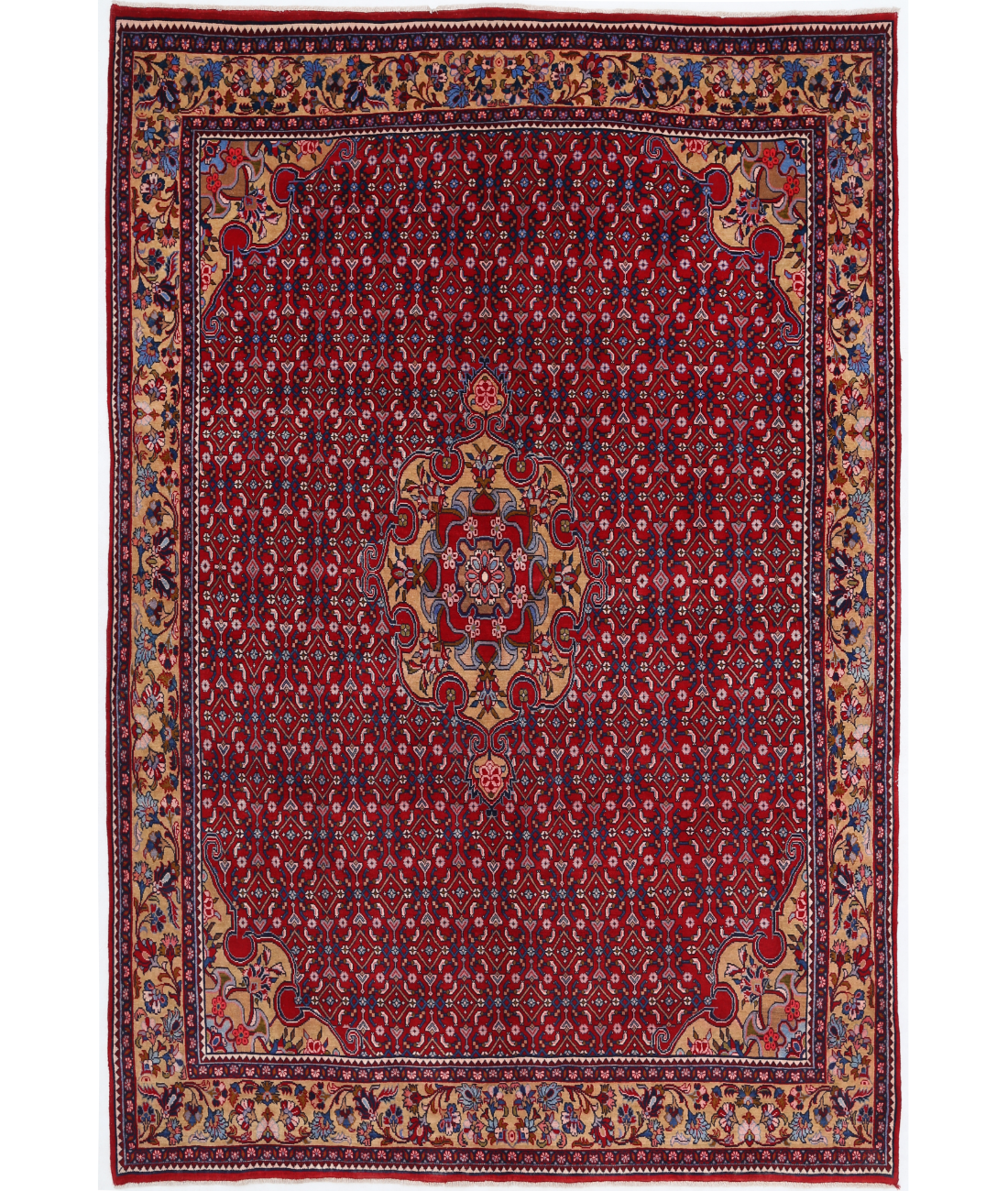 Hand Knotted Bijar Wool Rug  - 6&#39; 8&quot; X 10&#39; 0&quot; 6&#39; 8&quot; X 10&#39; 0&quot; (203 X 305) / Red / Beige