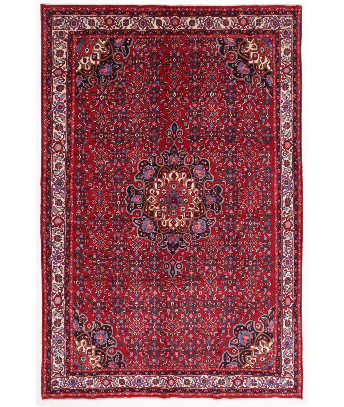 Hand Knotted Bijar Wool Rug  - 6&#39; 8&quot; X 10&#39; 2&quot; 6&#39; 8&quot; X 10&#39; 2&quot; (203 X 310) / Red / Ivory