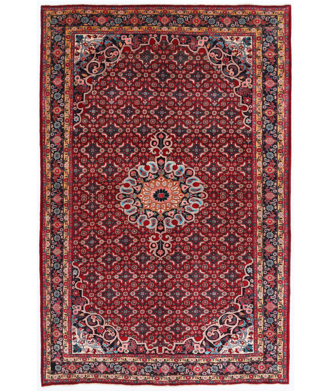 Hand Knotted Bijar Wool Rug  - 6&#39; 10&quot; X 10&#39; 5&quot; 6&#39; 10&quot; X 10&#39; 5&quot; (208 X 318) / Red / Black