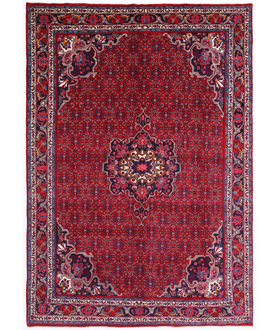 Hand Knotted Bijar Wool Rug  - 6' 11" X 10' 1" 6' 11" X 10' 1" (211 X 307) / Red / Blue