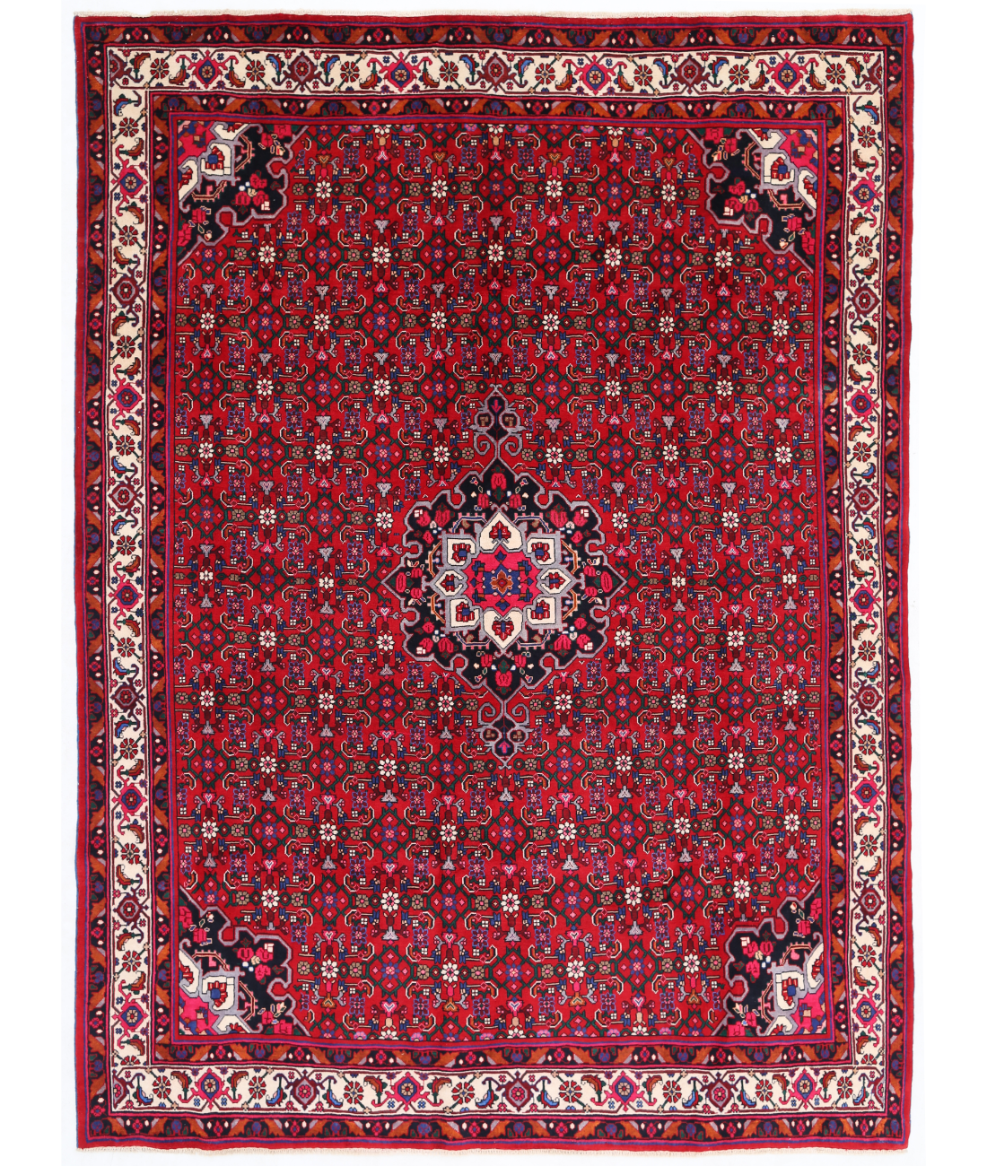 Hand Knotted Bijar Wool Rug  - 7&#39; 1&quot; X 9&#39; 8&quot; 7&#39; 1&quot; X 9&#39; 8&quot; (216 X 295) / Red / Ivory