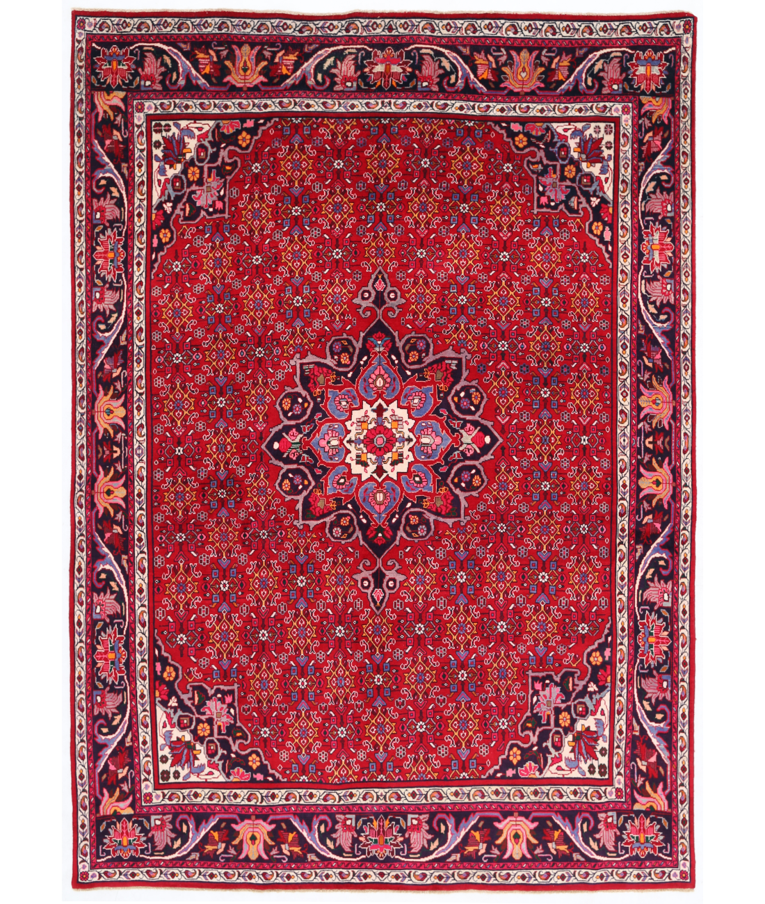 Hand Knotted Bijar Wool Rug  - 6&#39; 8&quot; X 9&#39; 5&quot; 6&#39; 8&quot; X 9&#39; 5&quot; (203 X 287) / Red / Black