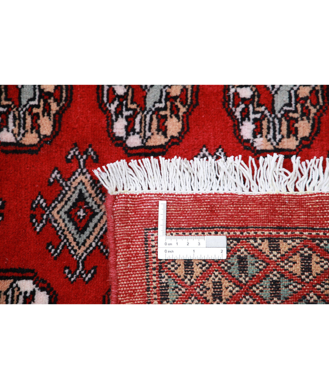 Hand Knotted Tribal Bokhara Wool Rug - 10'2'' x 13'11'' 10'2'' x 13'11'' (305 X 418) / Red / Black