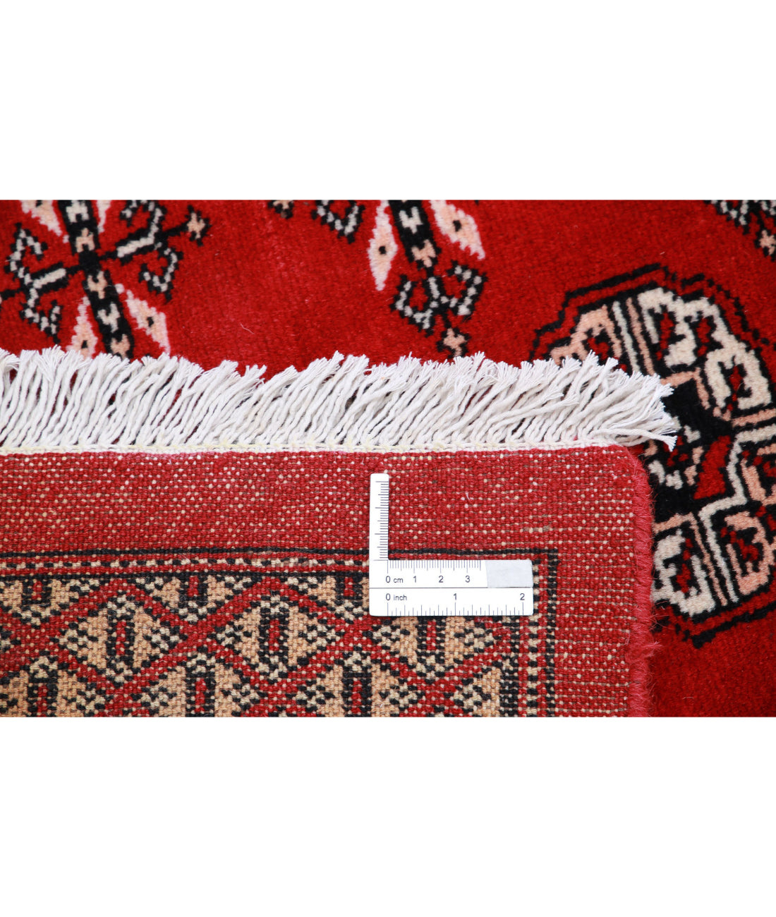 Hand Knotted Tribal Bokhara Wool Rug - 10'1'' x 14'0'' 10'1'' x 14'0'' (303 X 420) / Red / Ivory