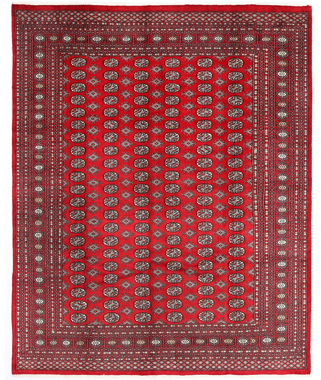 Hand Knotted Bokhara Wool Rug  - 8&#39; 0&quot; X 9&#39; 11&quot; 8&#39; 0&quot; X 9&#39; 11&quot; (244 X 302) / Red / Red