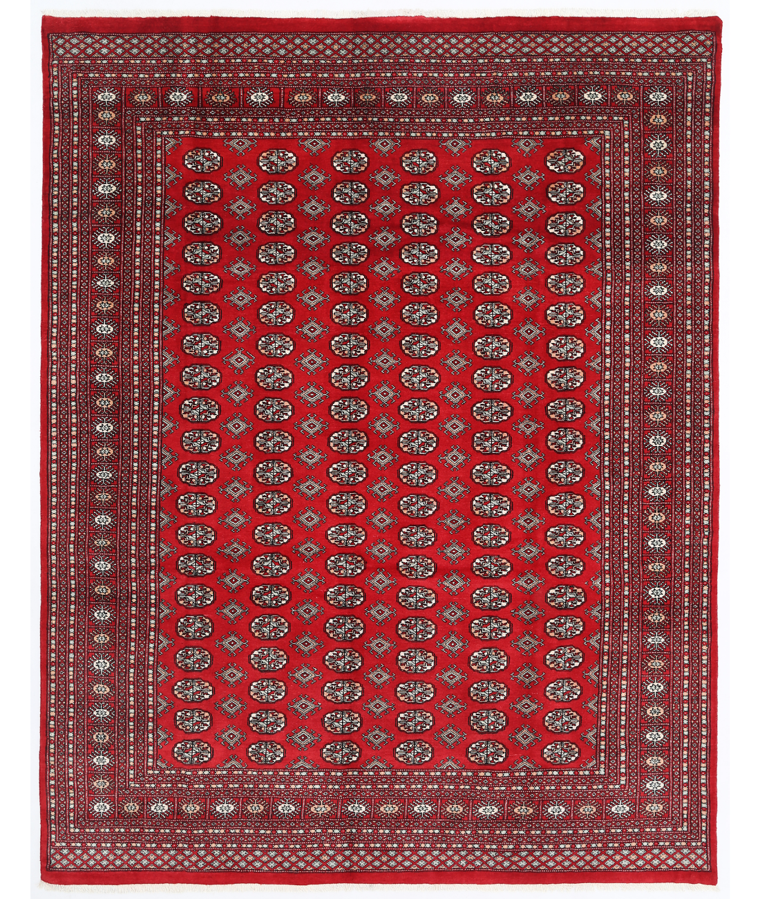 Hand Knotted Bokhara Wool Rug  - 8&#39; 0&quot; X 10&#39; 1&quot; 8&#39; 0&quot; X 10&#39; 1&quot; (244 X 307) / Red / Red