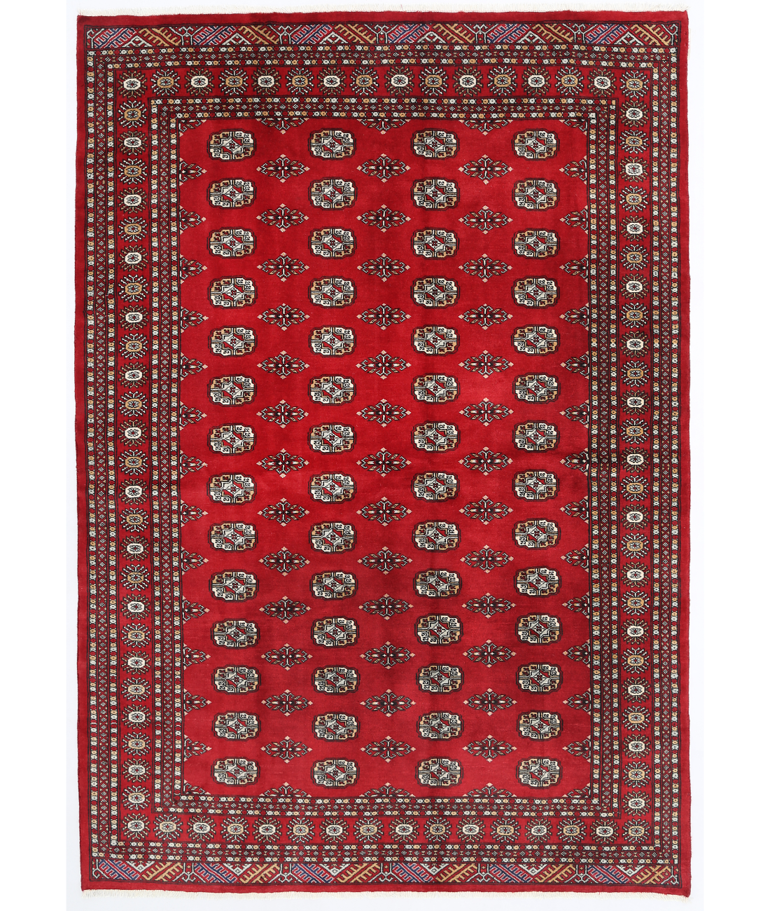 Hand Knotted Bokhara Wool Rug  - 6&#39; 1&quot; X 8&#39; 8&quot; 6&#39; 1&quot; X 8&#39; 8&quot; (185 X 264) / Red / Red