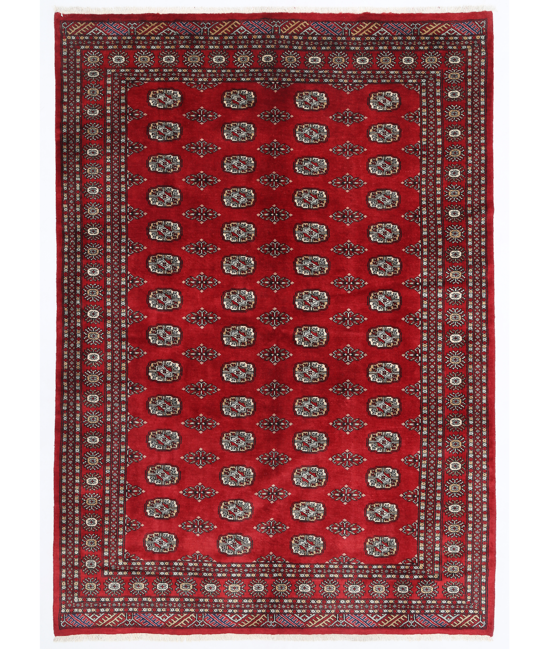 Hand Knotted Bokhara Wool Rug  - 6&#39; 1&quot; X 8&#39; 8&quot; 6&#39; 1&quot; X 8&#39; 8&quot; (185 X 264) / Red / Red