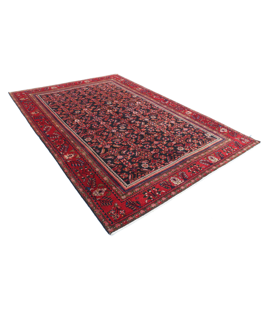 Hand Knotted Persian Hamadan Wool Rug - 6'11'' x 9'11'' 6'11'' x 9'11'' (208 X 298) / Black / Red