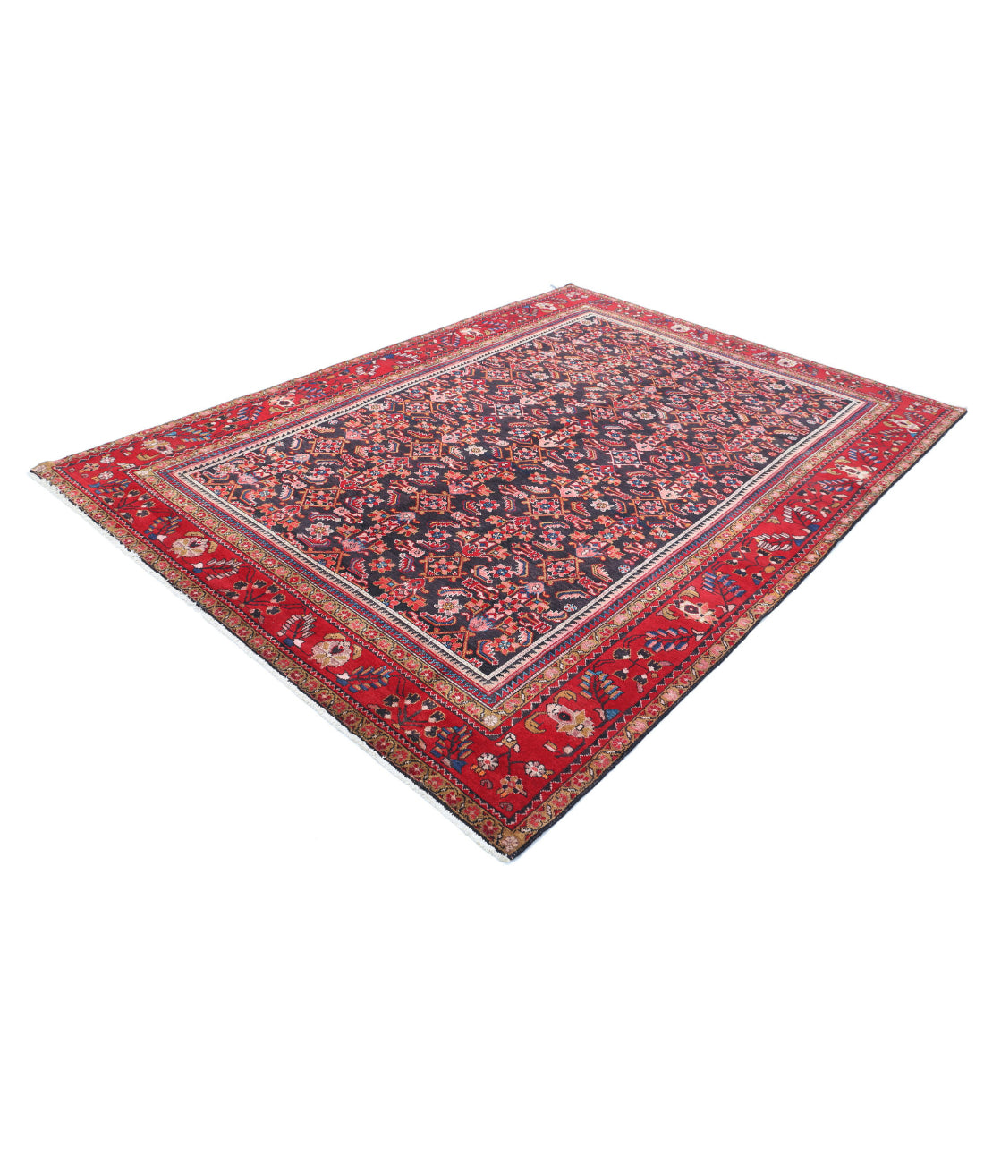 Hand Knotted Persian Hamadan Wool Rug - 6'11'' x 9'11'' 6'11'' x 9'11'' (208 X 298) / Black / Red