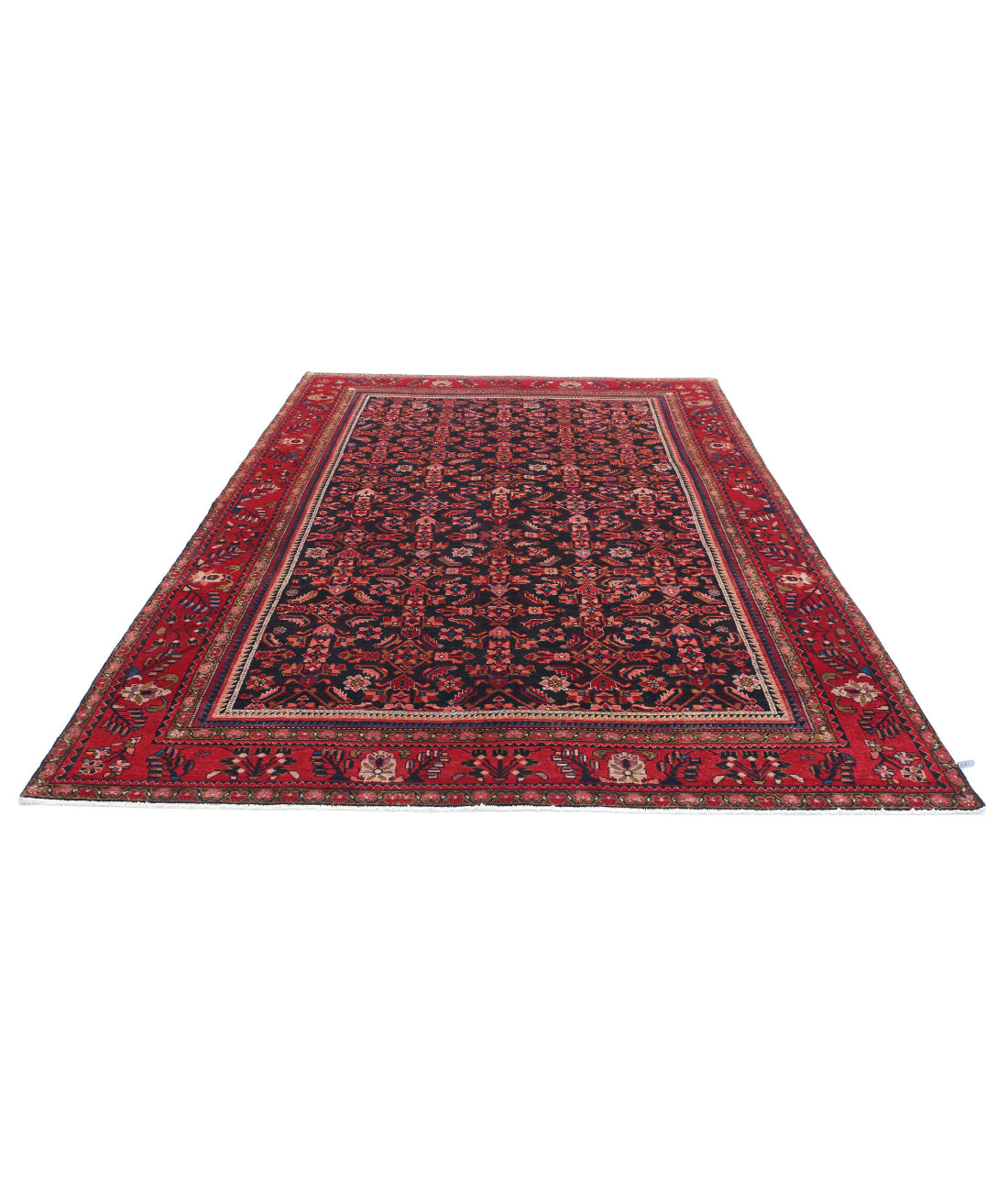 Hand Knotted Persian Hamadan Wool Rug - 6'11'' x 9'11'' 6'11'' x 9'11'' (208 X 298) / Black / Red