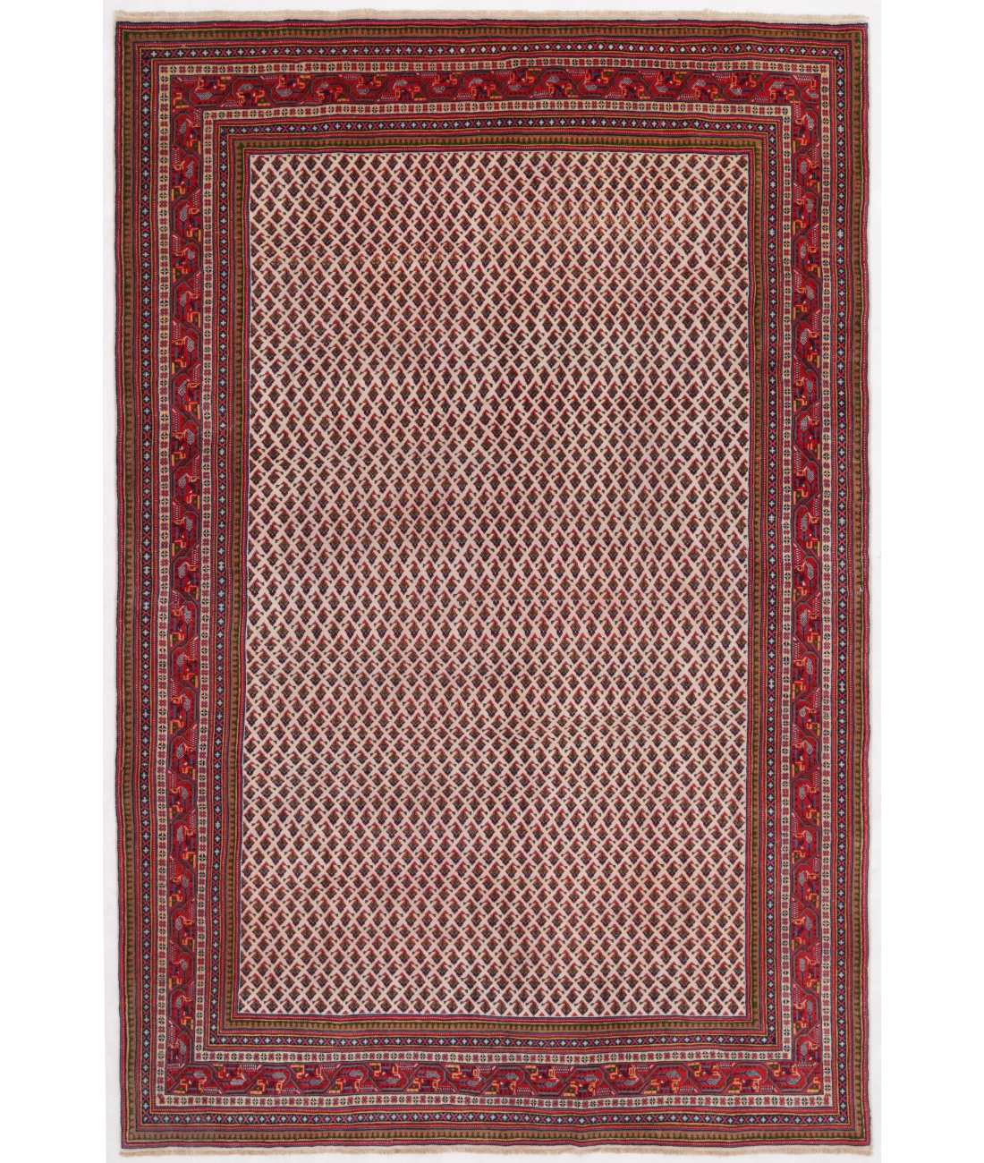 Hand Knotted Sarouk Wool Rug  - 6' 10" X 10' 4" 6' 10" X 10' 4" (208 X 315) / Ivory / Red