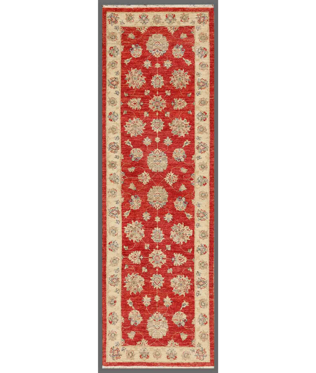 Hand Knotted Ziegler Wool Rug  - 2&#39; 8&quot; X 8&#39; 6&quot; 2&#39; 8&quot; X 8&#39; 6&quot; (81 X 259) / Red / Ivory