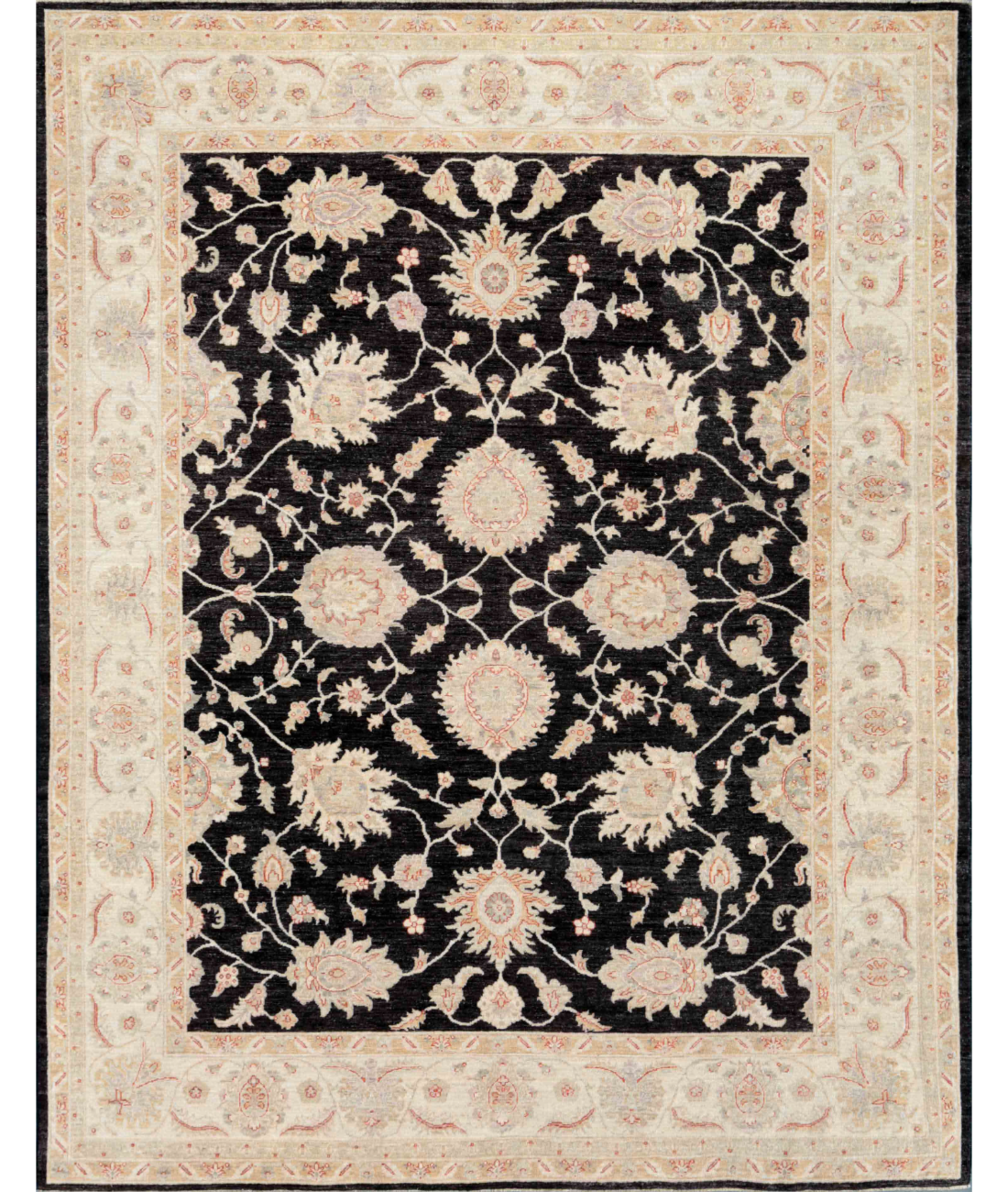 Hand Knotted Ziegler Wool Rug  - 8&#39; 0&quot; X 10&#39; 2&quot; 8&#39; 0&quot; X 10&#39; 2&quot; (244 X 310) / Black / Ivory