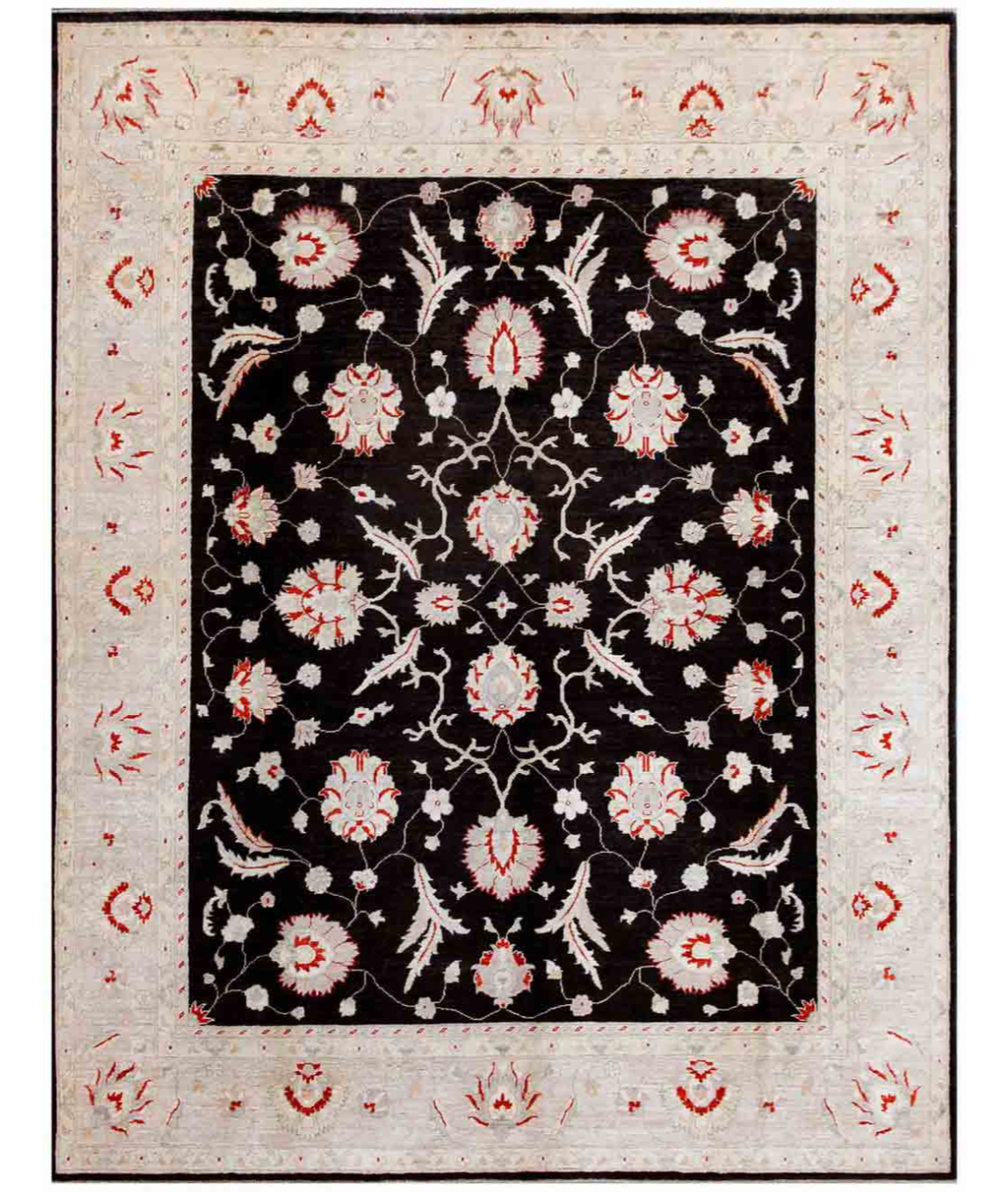 Hand Knotted Ziegler Wool Rug  - 8&#39; 0&quot; X 10&#39; 3&quot; 8&#39; 0&quot; X 10&#39; 3&quot; (244 X 312) / Red / Ivory