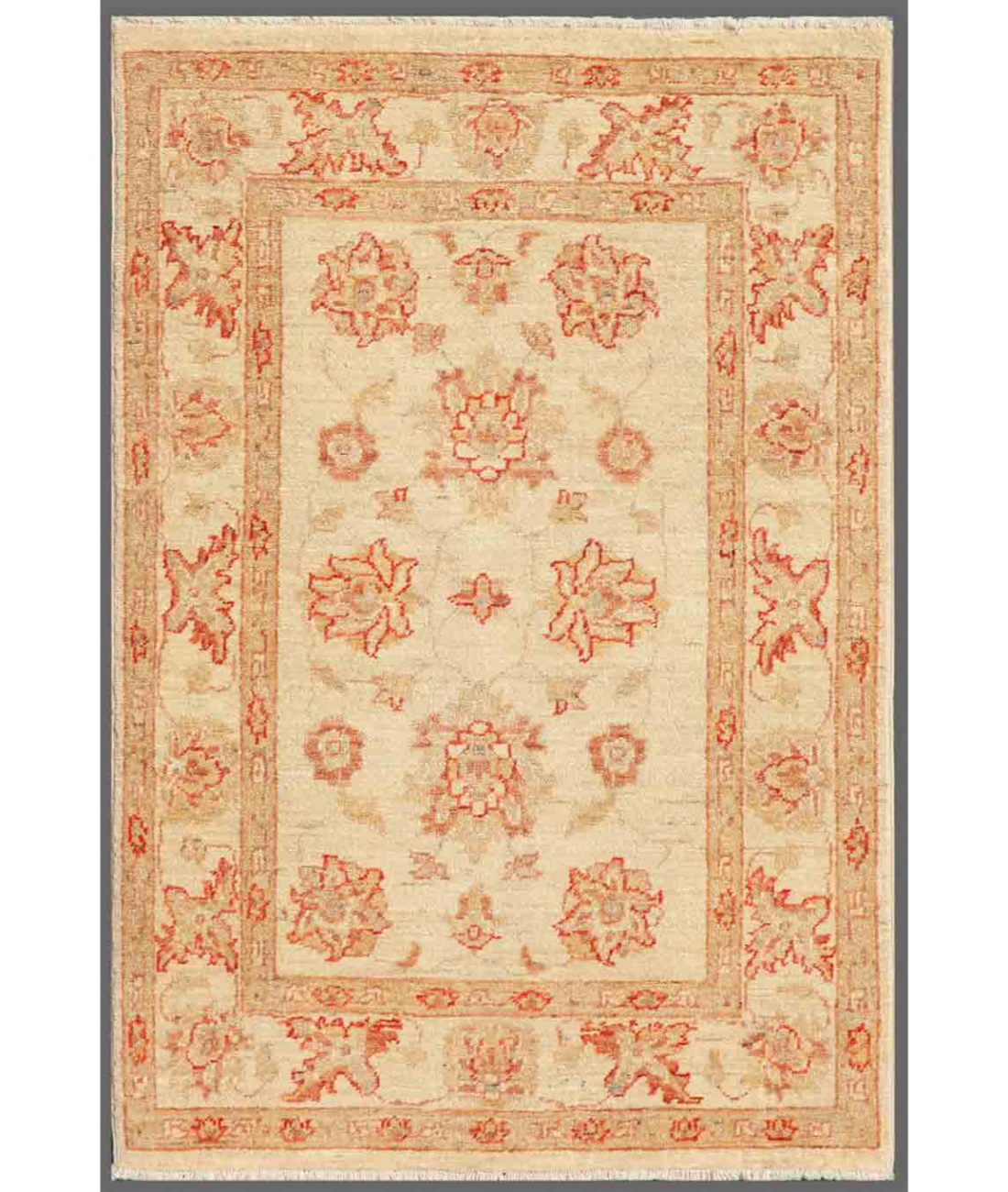 Hand Knotted Ziegler Wool Rug  - 2' 8" X 3' 11" 2' 8" X 3' 11" (81 X 119) / Red / Ivory