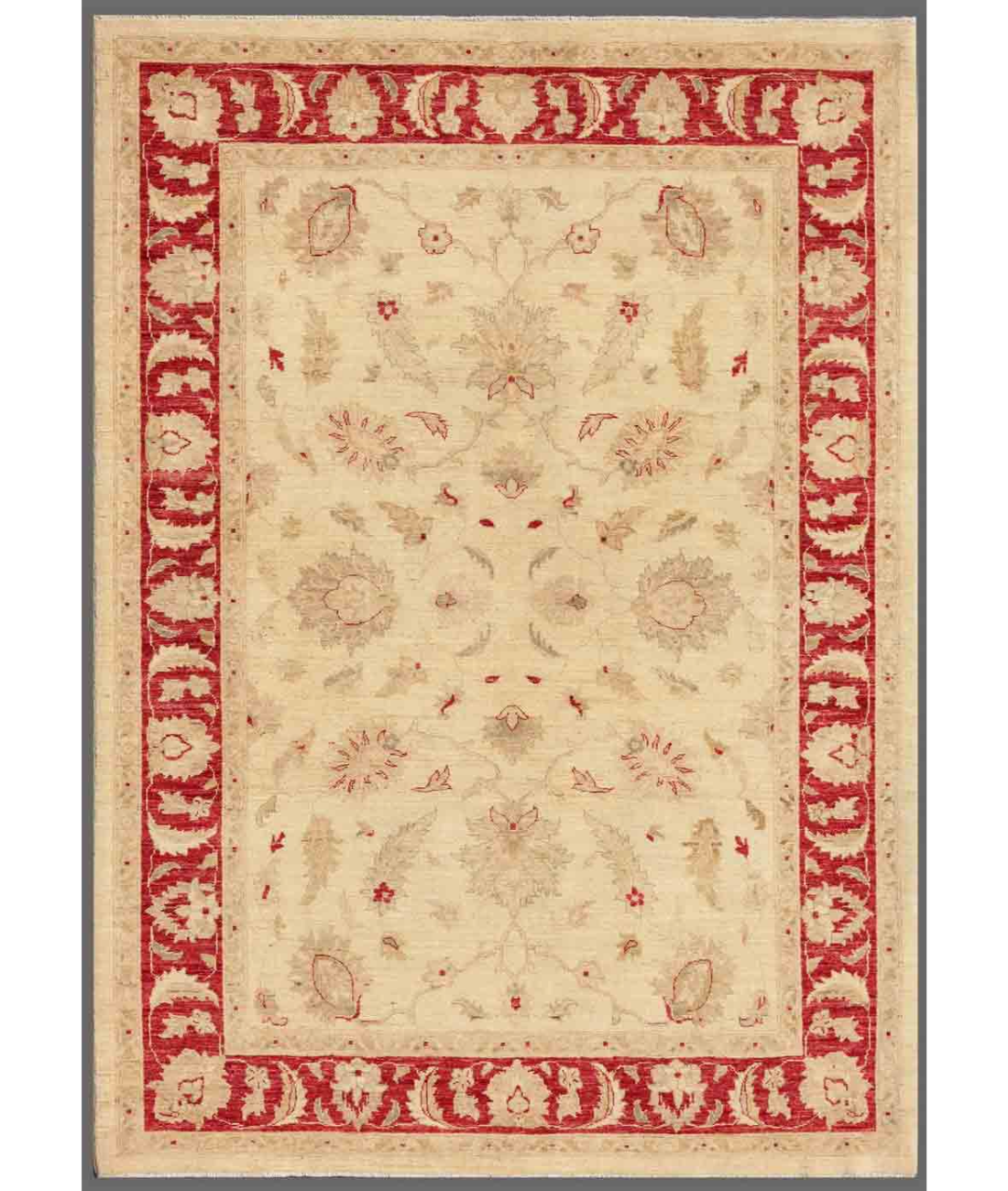 Hand Knotted Ziegler Wool Rug  - 5&#39; 8&quot; X 7&#39; 9&quot; 5&#39; 8&quot; X 7&#39; 9&quot; (173 X 236) / Ivory / Red