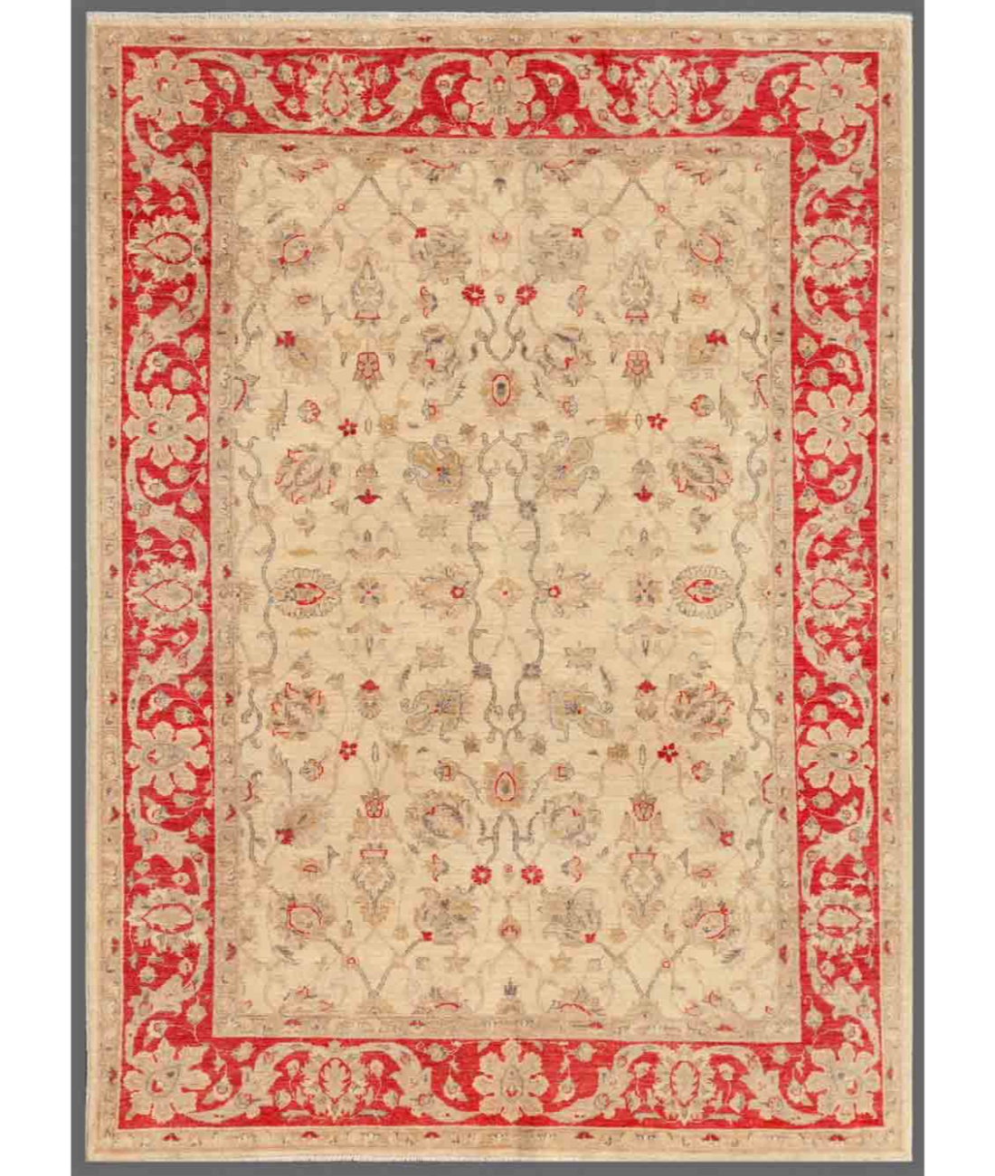 Hand Knotted Ziegler Wool Rug  - 5&#39; 6&quot; X 7&#39; 6&quot; 5&#39; 6&quot; X 7&#39; 6&quot; (168 X 229) / Ivory / Red